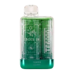 Ice Mint EBDesign TE6000 | 6000 Puffs