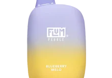 Blueberry Melo Flum Pebble | 6000 Puffs