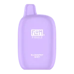 Blueberry Mint Flum Pebble | 6000 Puffs