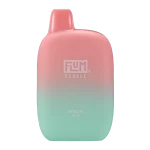 Peach Icy Flum Pebble | 6000 Puffs
