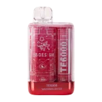 Watermelon Ice EBDesign TE6000 | 6000 Puffs