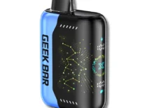 Blackberry blueberry Geek Bar Pulse x | 25000 Puffs