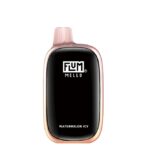 Watermelon Icy  Flum Mello | 20000 Puffs